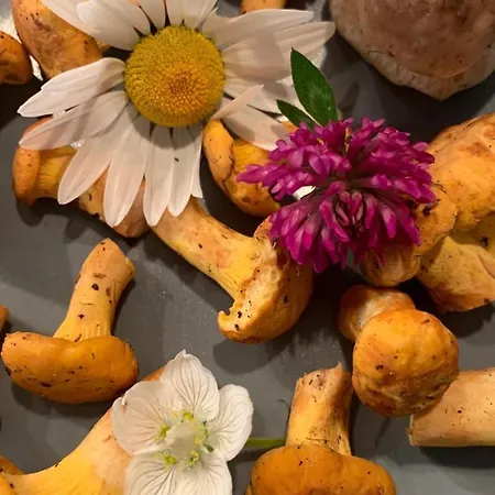 بيت ضيافة Hinterseer