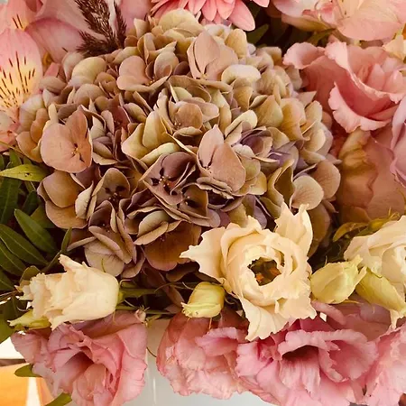 بيت ضيافة Hinterseer