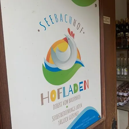 Hinterseer Guest house