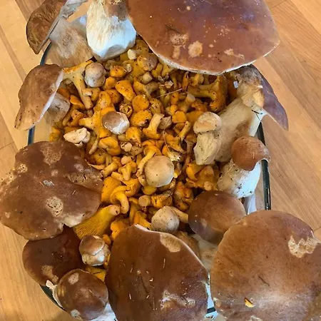 Hinterseer 4* Kitzbuhel