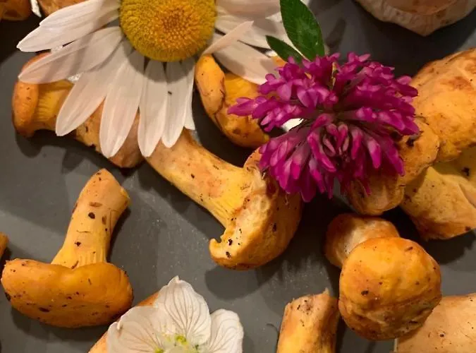 Affittacamere Hinterseer