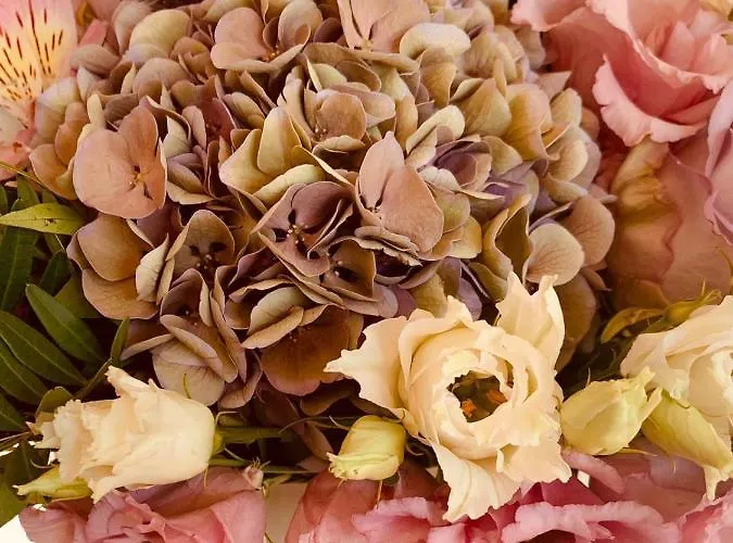 ゲストハウス Hinterseer