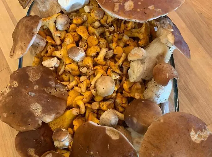 Hinterseer 4* Kitzbühel